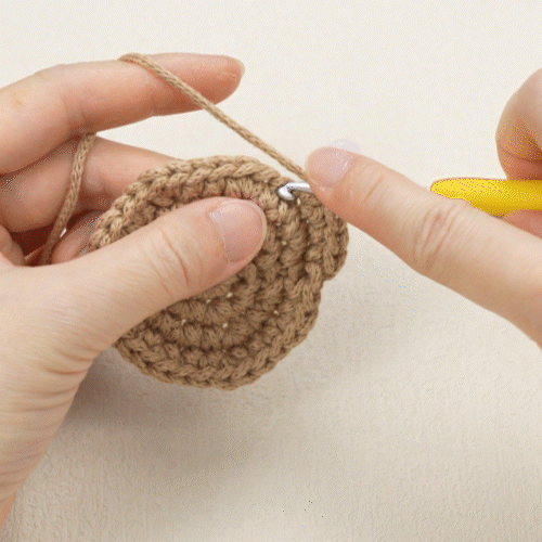 Beni The Capybara Crochet Kit